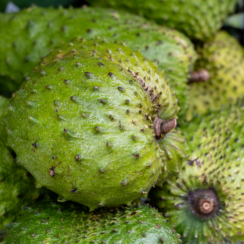 Soursop Pulp | Pulpa De Guanabana | 397gr