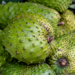 Soursop Pulp | Pulpa De Guanabana | 397gr