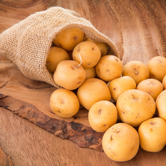 Yellow Potato 454Gr | Creole Potatoes | Papa Criolla |  By Abuela Emilia | Perfect for Latin American Recipes