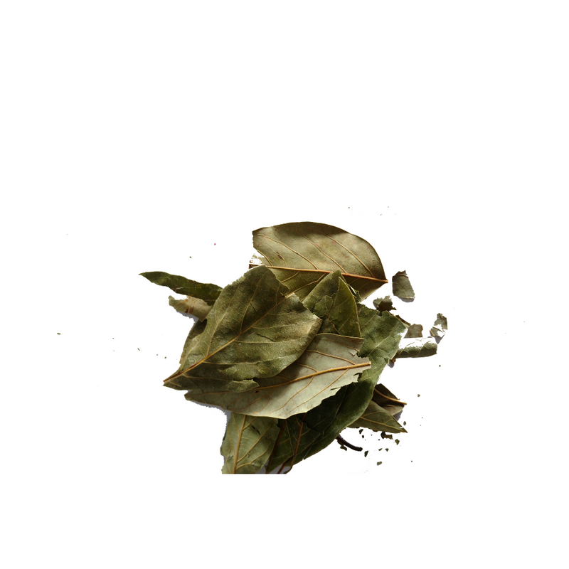 Avocado Leaves (Hoja de Aguacate) - 25gr